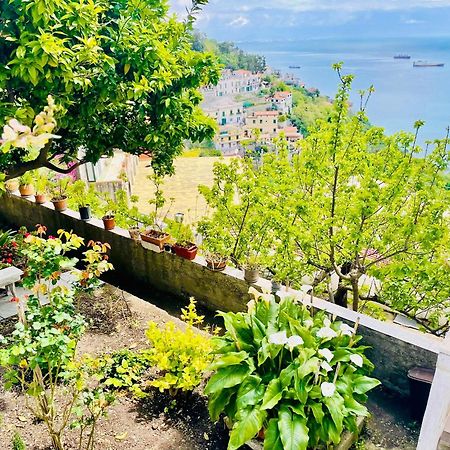 Borgo Virginia - Sea View In Amalfi Coast Daire Vietri Dış mekan fotoğraf